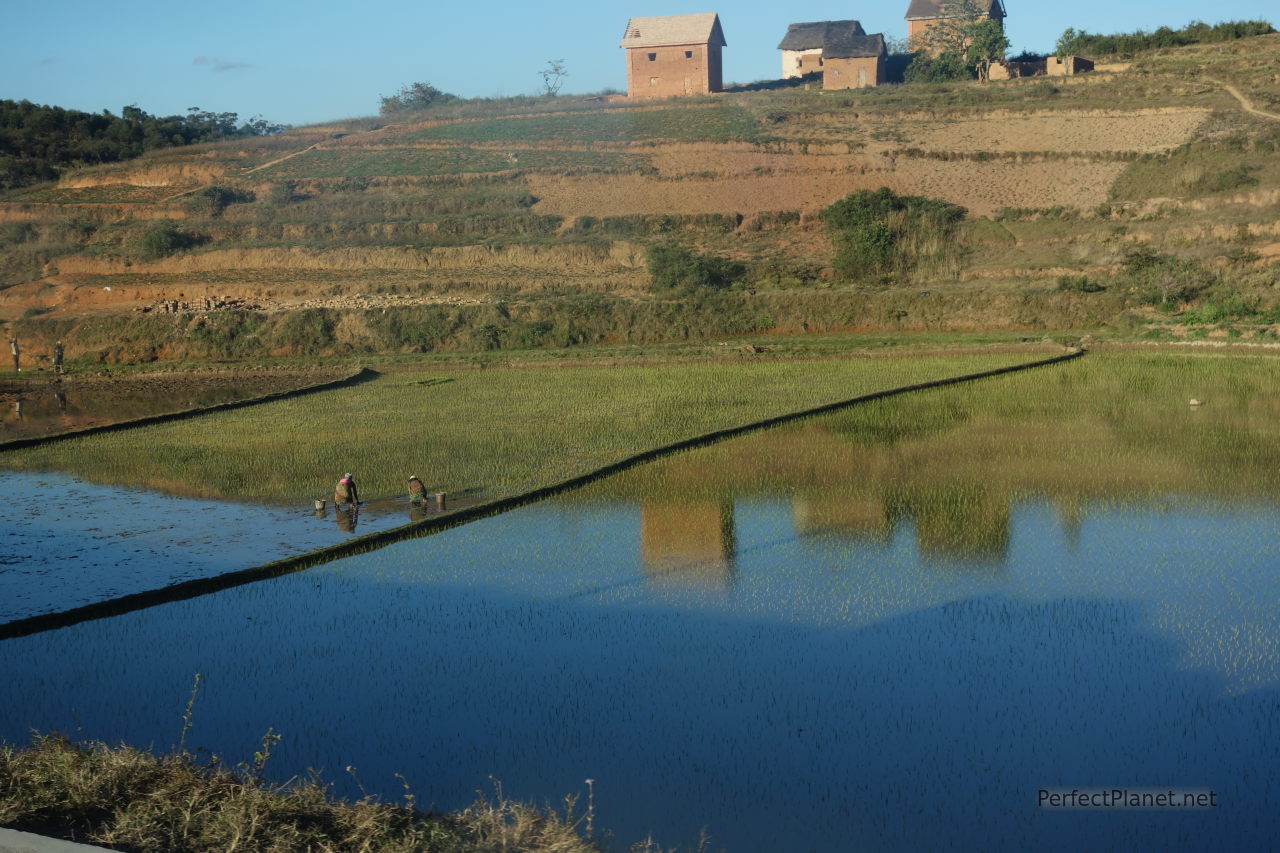 Madagascar landscape