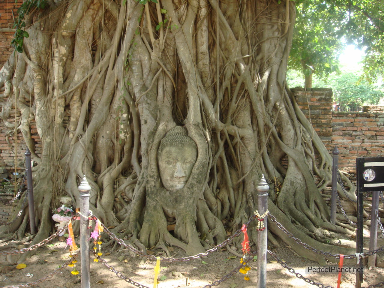 Ayutthaya