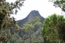 Valle de Cocora