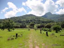 Wat Champasak