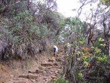 Parque Nacional del Kinabalu