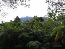 Kinabalu National Park