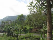 Cemoro Lawang surroundings