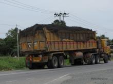 Pineapple truck