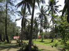 J2B Beach bungalow Resort 