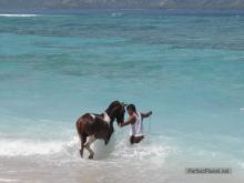 Gili Islands