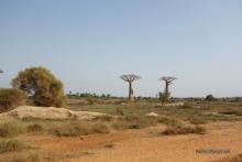 Afueras de Morondava