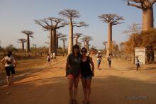 Alleé des Baobabs