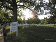 Arlington Cemetery