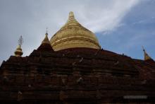 Dhammayazika Pagoda