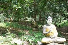 Buddhas in the rain forest