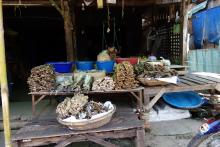 Hpa An market