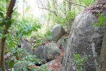 Tayrona National Park