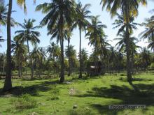 Gili Trawangan 