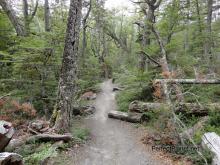 Tierra del Fuego National Park