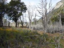 Tierra del Fuego National Park