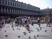 St. Mark's square