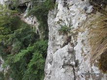 Tibetan bridge