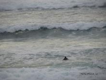 Playa de Somo