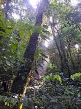 Monteverde Cloud Forest Biological Reserve