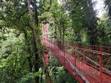 Monteverde Cloud Forest Biological Reserve