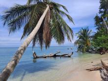 Cahuita National Park