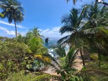 Refugio de vida silvestre Gandoca Manzanillo