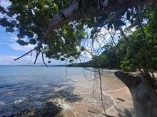 Refugio de vida silvestre Gandoca Manzanillo