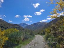 Montaña Palentina