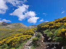 Lomas well path