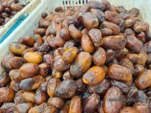 Datil