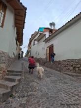 Cuzco