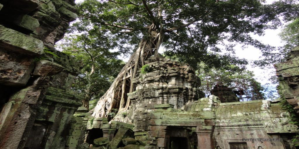 Angkor Camboya