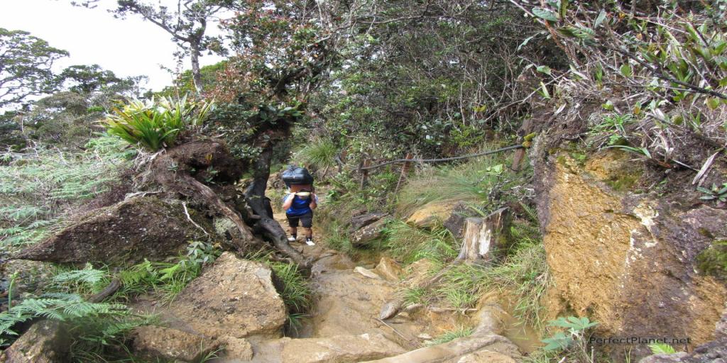 Monte Kinabalu Borneo Malasia